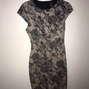 lace body-con dress
